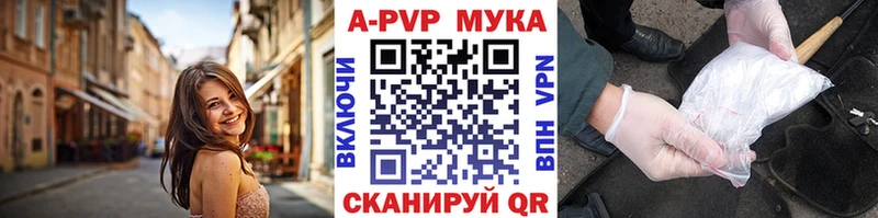 APVP VHQ Каргат