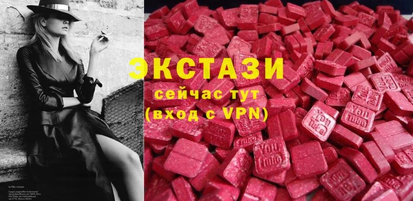 дживик Краснослободск