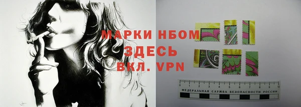 дживик Краснослободск