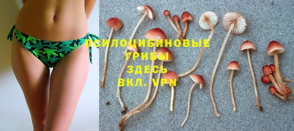 дурь Краснотурьинск