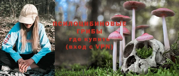 дурь Краснотурьинск