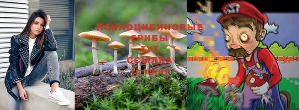 дурь Краснотурьинск