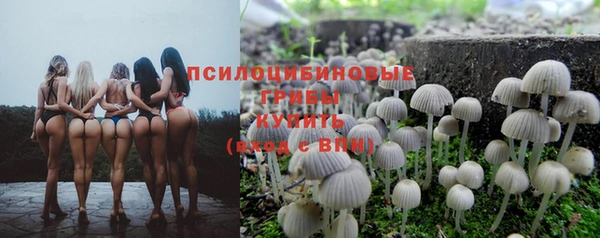 винт Красноперекопск