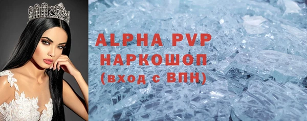 дживик Краснослободск