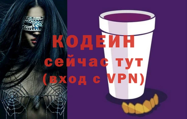 дживик Краснослободск