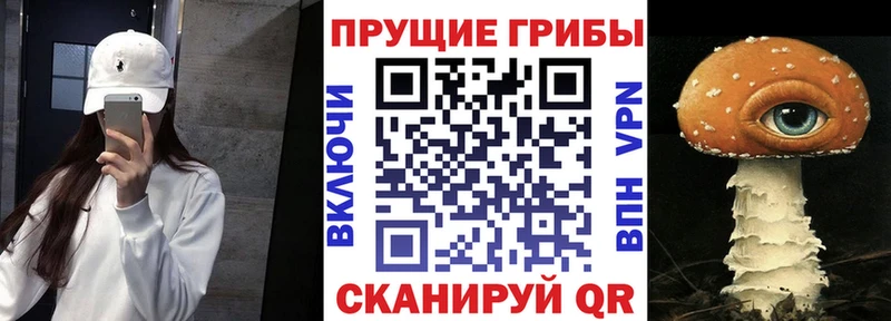Псилоцибиновые грибы MAGIC MUSHROOMS Каргат