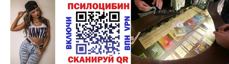 Псилоцибиновые грибы Psilocybine cubensis  Купить закладки  Каргат 